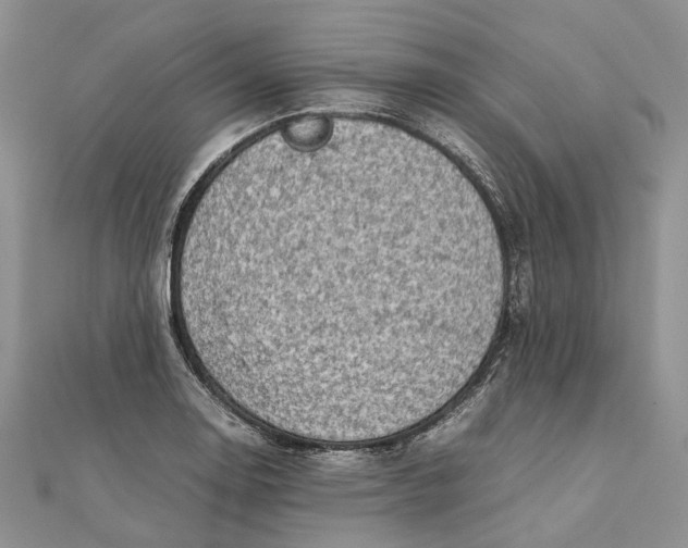 X0000111921130200908101216