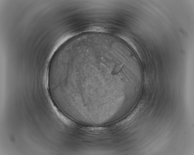 X0000111921131200908101216