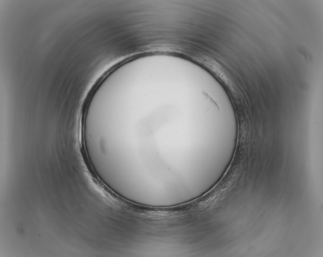 X0000111921132200908101216