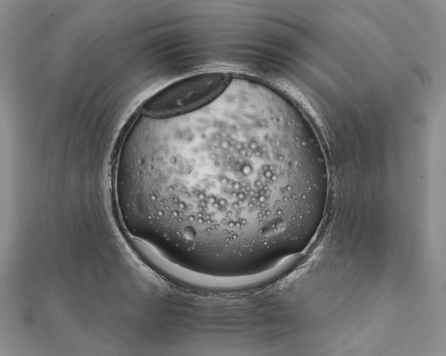 X0000111921133200908101216