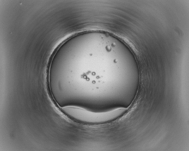 X0000111921134200908101216