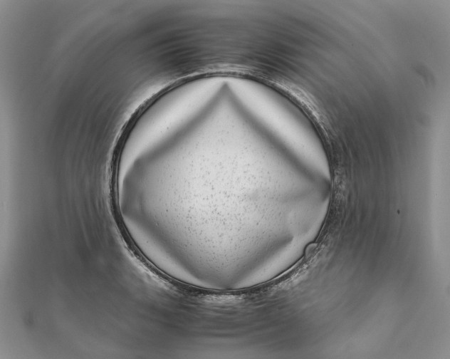 X0000111921135200908101216