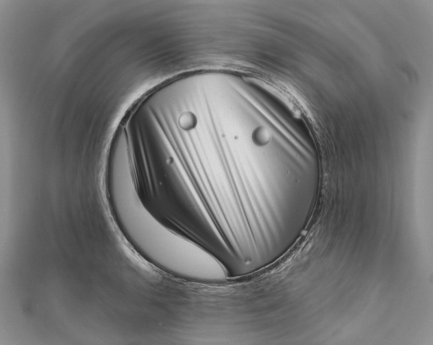 X0000111921136200908101216