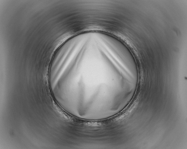 X0000111921137200908101216