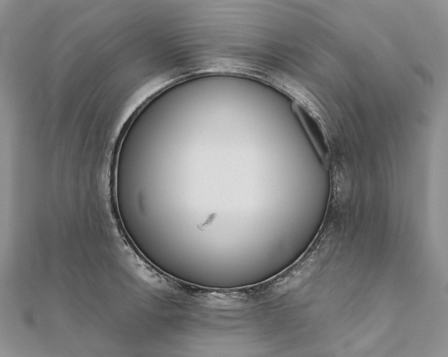 X0000111921138200908101216