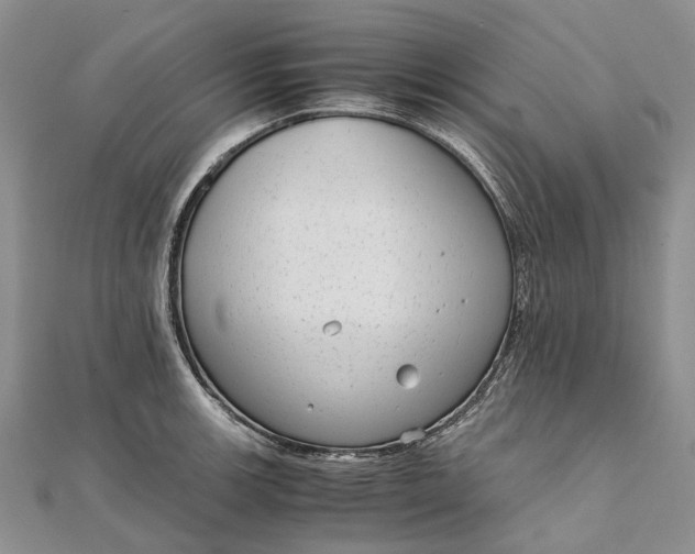 X0000111921139200908101216