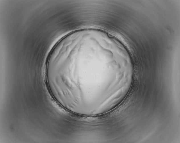 X0000111921140200908101216