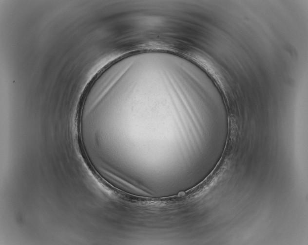 X0000111921141200908101216