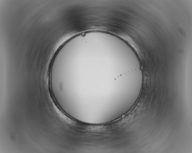 X0000111921143200908101216