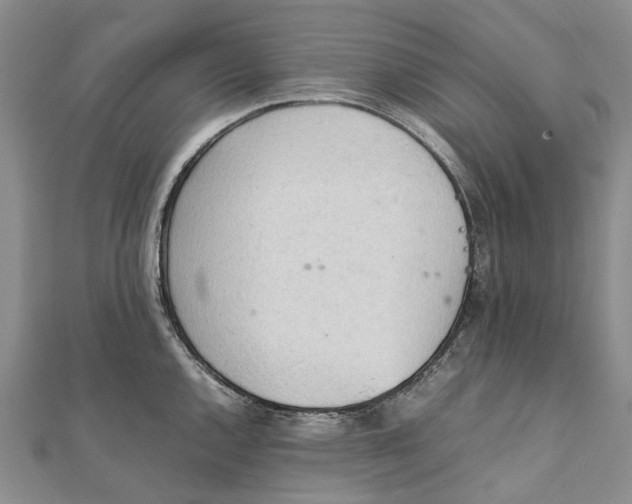 X0000111921144200908101216