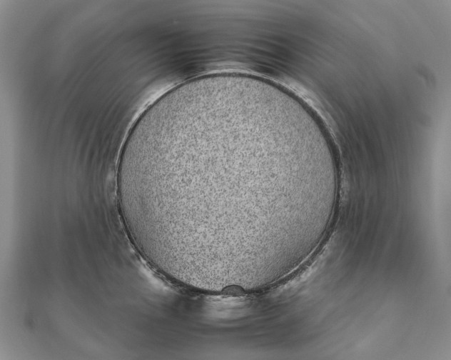 X0000111921145200908101216