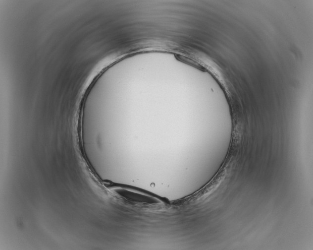 X0000111921146200908101216