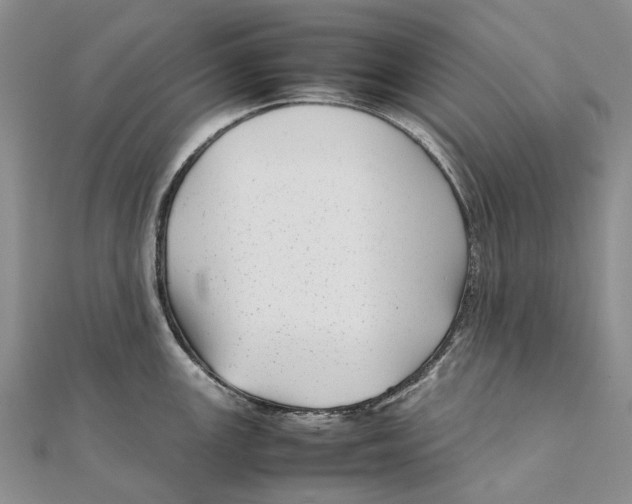 X0000111921147200908101216