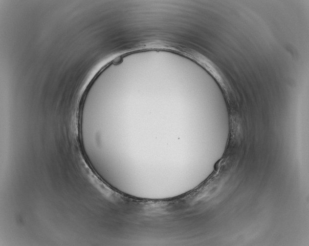 X0000111921148200908101216