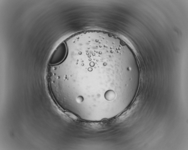 X0000111921149200908101216