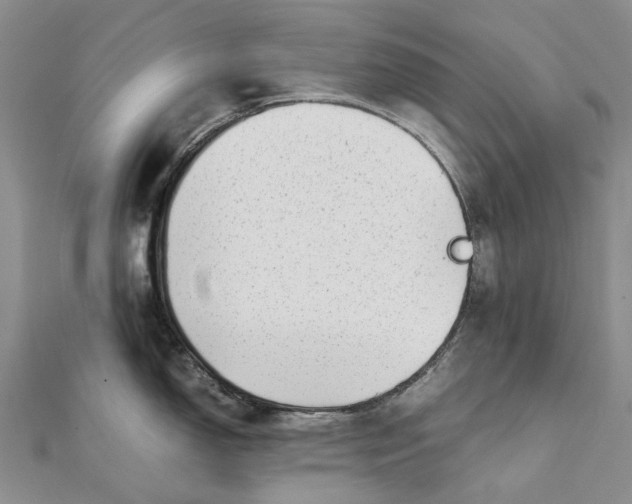 X0000111921150200908101216