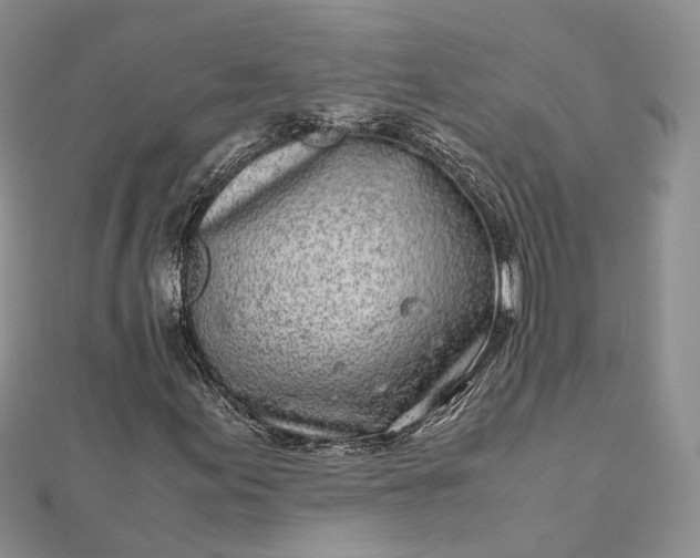 X0000111921155200908101215