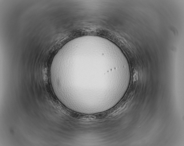 X0000111921156200908101215