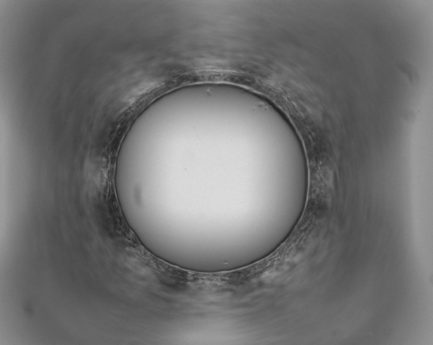 X0000111921157200908101215