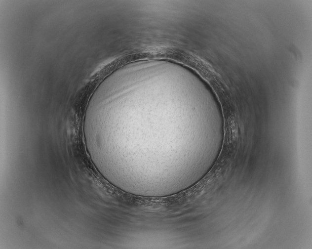 X0000111921158200908101215