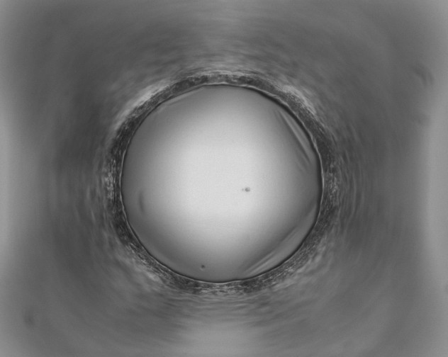 X0000111921159200908101215