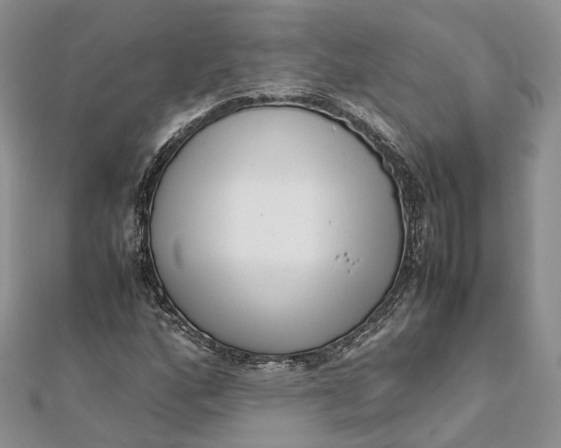 X0000111921160200908101215