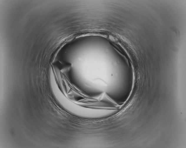 X0000111921161200908101215