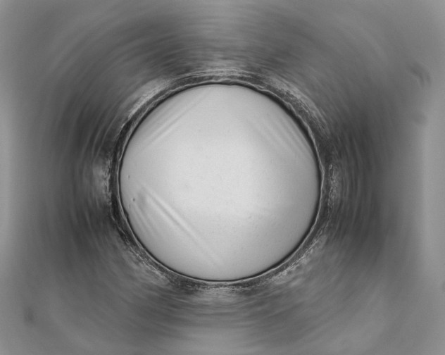 X0000111921162200908101215