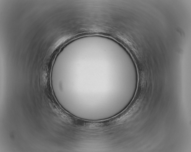 X0000111921163200908101215