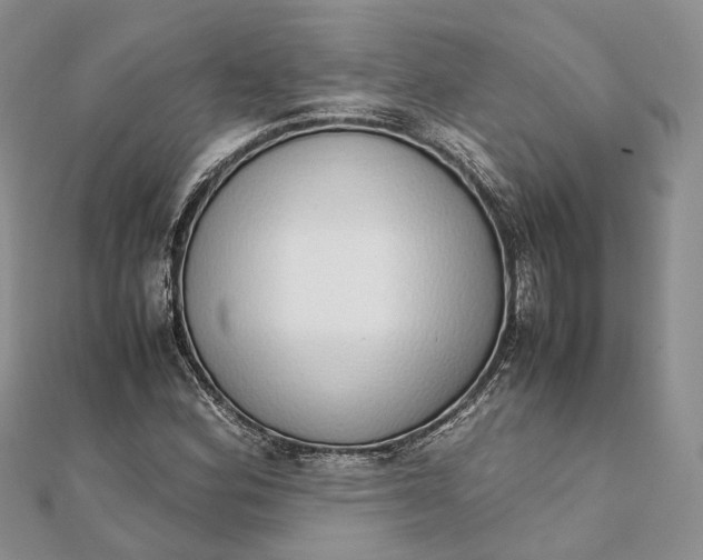 X0000111921164200908101215