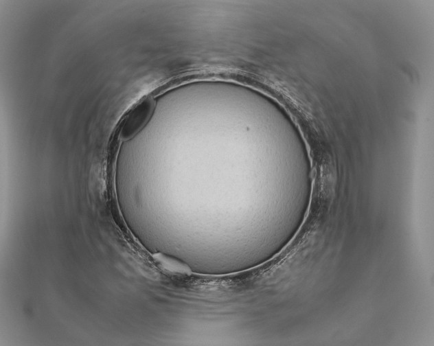 X0000111921165200908101215