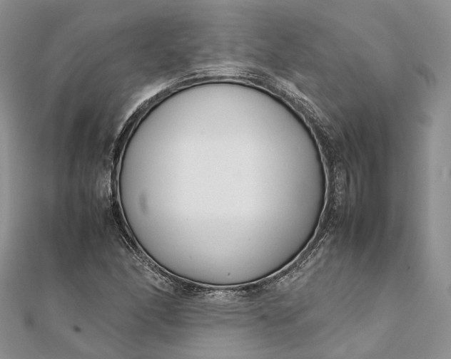 X0000111921166200908101215