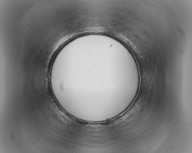 X0000111921168200908101215