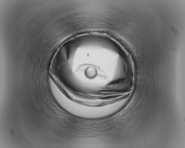 X0000111921169200908101215