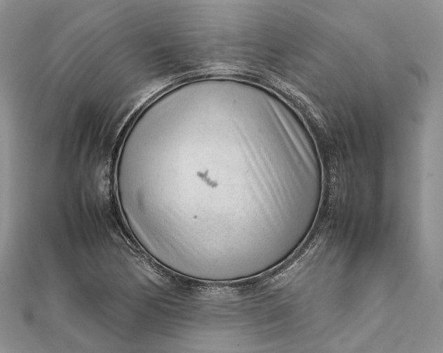 X0000111921170200908101215