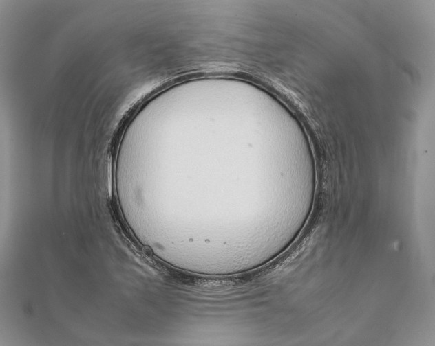 X0000111921171200908101215