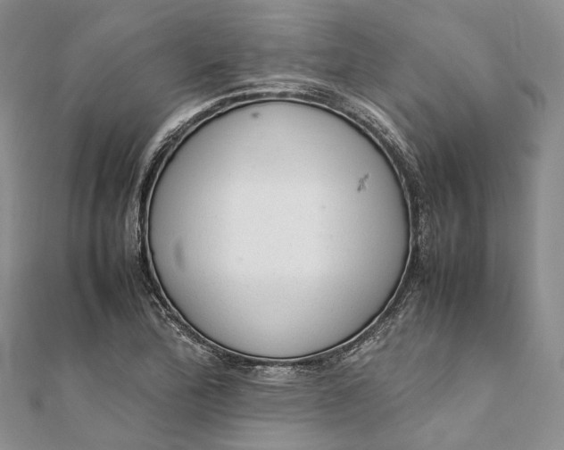 X0000111921172200908101215