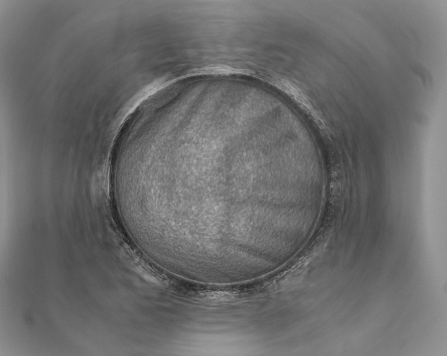 X0000111921173200908101215