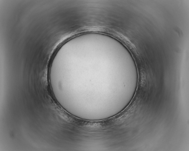 X0000111921174200908101215