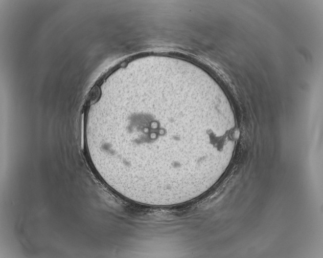 X0000111921175200908101215