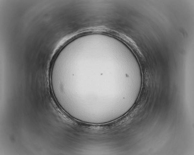 X0000111921176200908101215