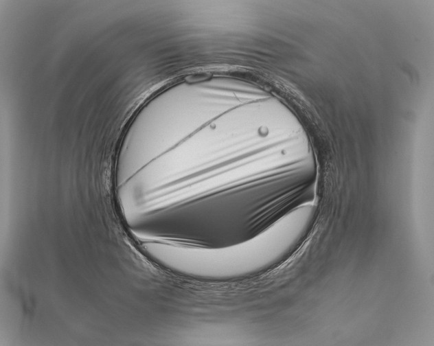 X0000111921177200908101215