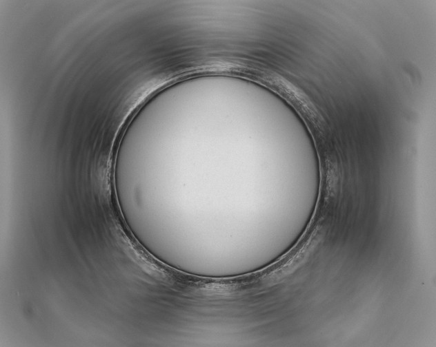 X0000111921178200908101215