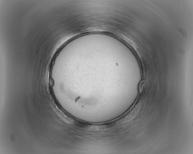 X0000111921179200908101215