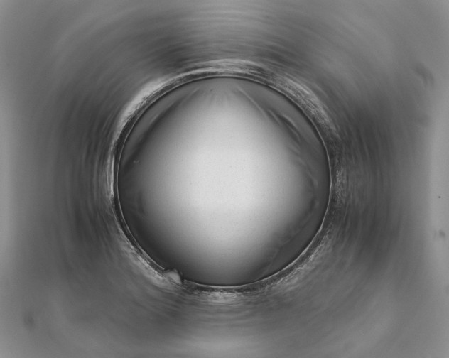 X0000111921180200908101215