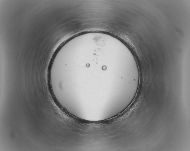 X0000111921181200908101215