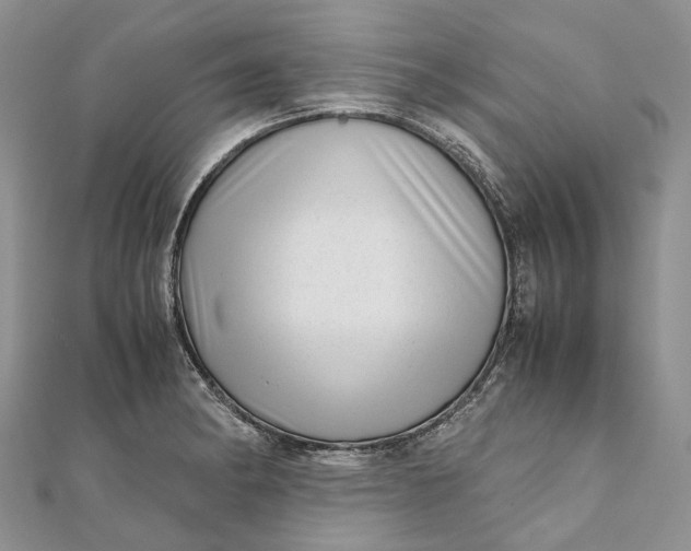 X0000111921182200908101215