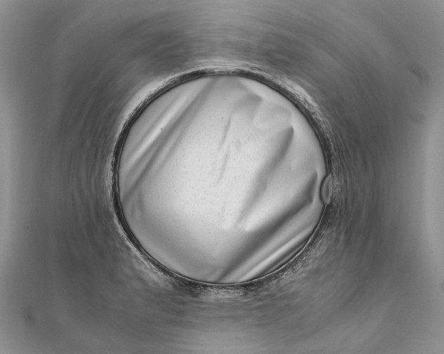 X0000111921183200908101215