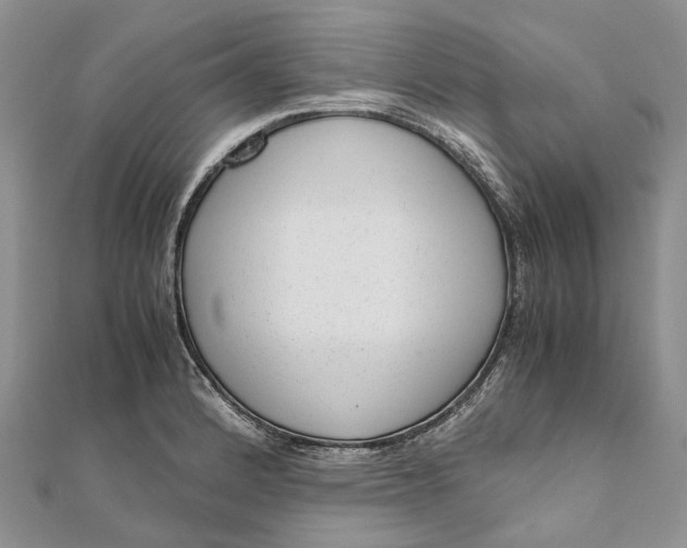 X0000111921184200908101215