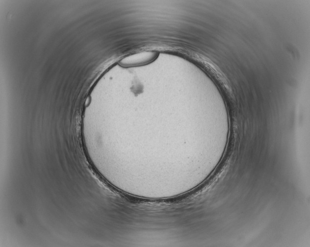 X0000111921185200908101215